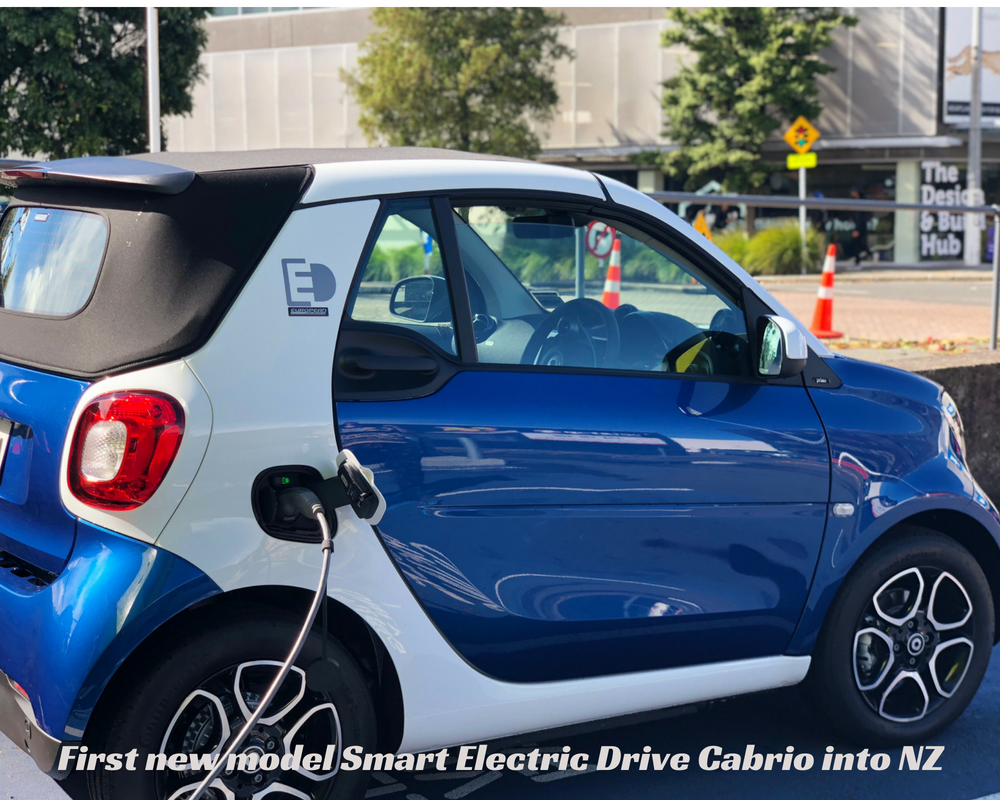 Electric Vehicle Importers Increase Your Choices & Save money